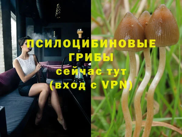 марки lsd Кулебаки