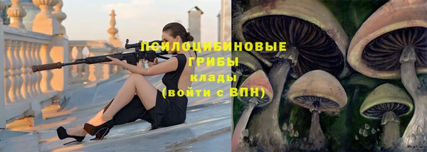 ГАЛЛЮЦИНОГЕННЫЕ ГРИБЫ Куйбышев